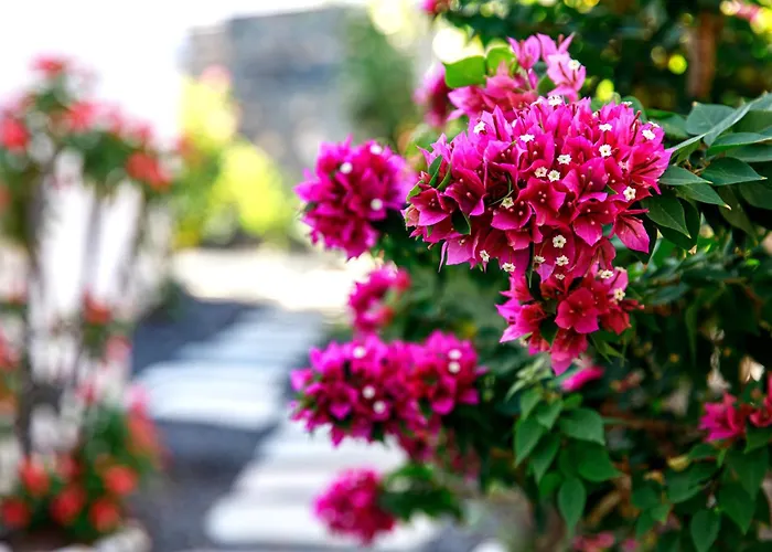 Luxus Mit 5 Schlafzimmern, Heated Pool, Ps4, Fitnessraum Tabayesco