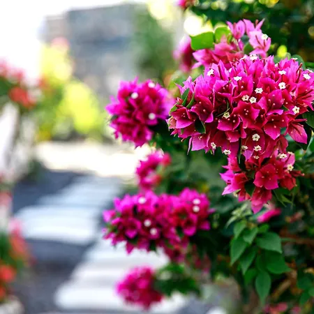 Luxus Mit 5 Schlafzimmern, Heated Pool, Ps4, Fitnessraum Tabayesco